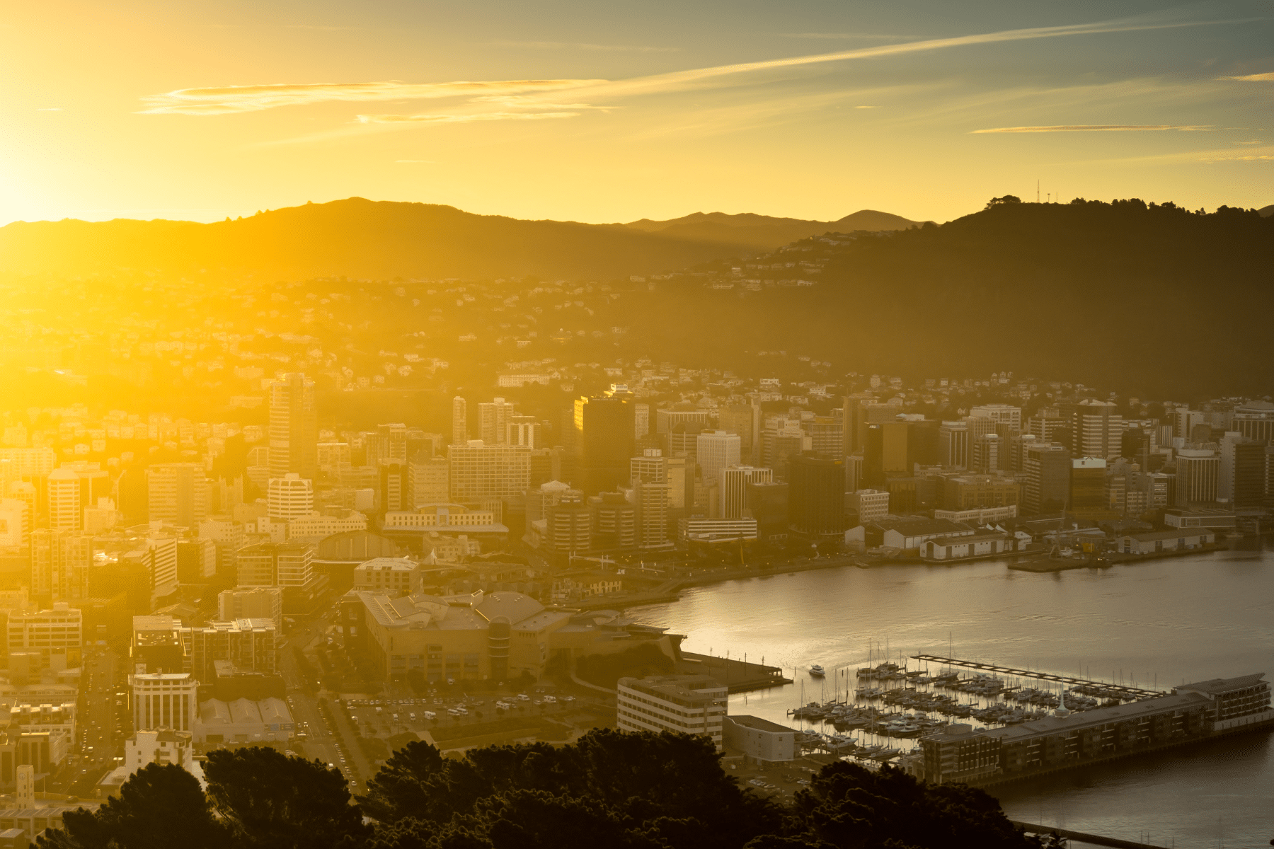 Wellington City 